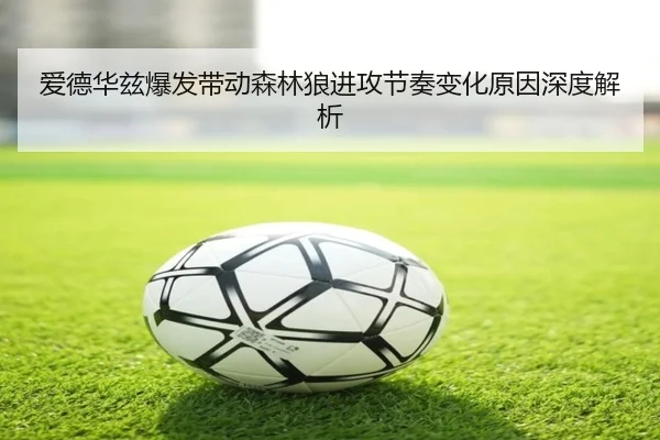 爱德华兹爆发带动森林狼进攻节奏变化原因深度解析