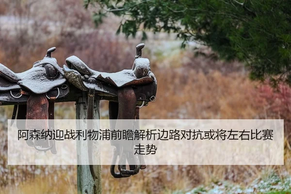 阿森纳迎战利物浦前瞻解析边路对抗或将左右比赛走势