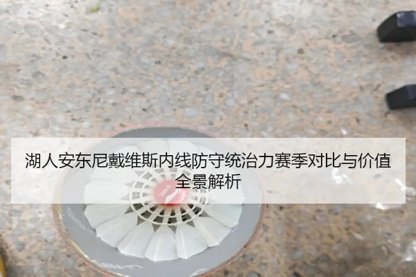 湖人安东尼戴维斯内线防守统治力赛季对比与价值全景解析